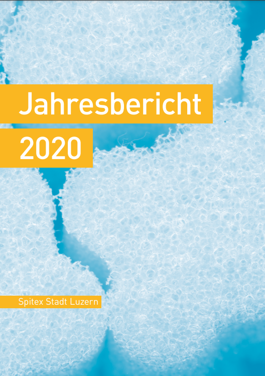 titelblatt jahresbericht 2020.png